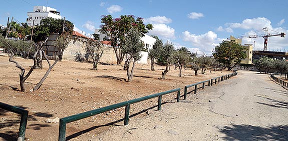 נדלן מגרש שכונת שפירא / צלם: תמר מצפי